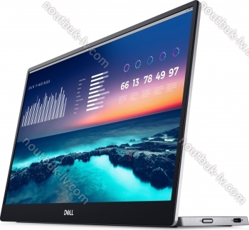 Dell P1424H, 14"