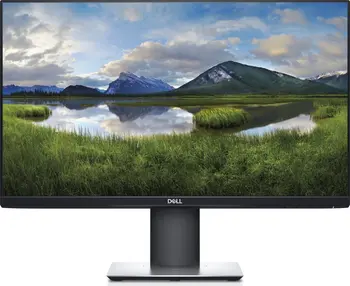 Dell P2421D, 23.8"