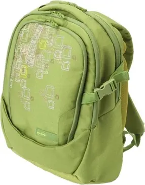 Dicota Dee BacPac 16.4" backpack green