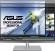 ASUS ProArt PA24AC, 24.1"