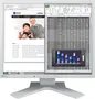 Eizo FlexScan S1934 grau, 19"