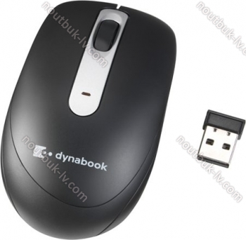 Dynabook W90 Silent wireless Mouse black, USB