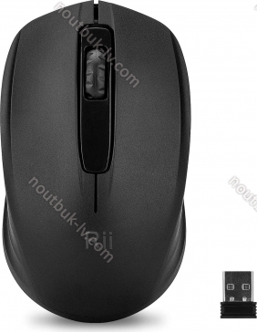 Riitek RM100+ wireless Mouse black, USB