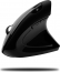 Adesso iMouse E10 wireless vertical mini Mouse black, USB