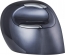 BakkerElkhuizen Evoluent D vertical mouse right wireless Large, USB