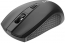 Canyon MW-7 wireless Mouse black, USB