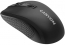 Canyon MW-7 wireless Mouse black, USB