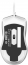 Cooler Master MasterMouse MM310, white, USB