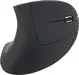 Equip Ergonomic wireless Mouse black, USB