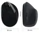 Ewent wireless Ergonomic Mouse black, USB