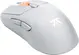 Fnatic Bolt wireless Gaming Mouse white, USB/Bluetooth