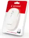 Gembird wireless Optical Mouse 4B-01 white/silver, USB