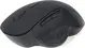 Gembird wireless Optical Mouse 6B-02 black, USB