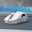 Glorious PC Gaming Race Model D wireless white matte, USB