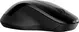 HP 250 Dual Mode wireless Mouse, black, USB/Bluetooth