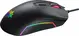 Inca IMG-GT14 RGB Gaming Mouse, USB