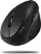 Inca IWM-279 vertical wireless Mouse black, USB