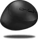 Inca IWM-279 vertical wireless Mouse black, USB