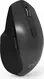 Inca IWM-515 wireless Mouse grey/black, USB