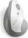 Kensington Pro Fit Ergo vertical wireless Mouse, white/grey, USB