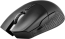 L33T-Gaming Draupnir wireless Gaming Mouse black, USB