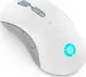 Lenovo Legion M600 wireless Gaming Mouse, white/grey, USB/Bluetooth