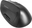 Natec Crake vertical wireless Mouse black, USB