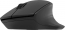 Natec Siskin 2 wireless Silent Mouse black, USB/Bluetooth