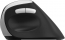 Rapoo EV250 Silent Ergonomic wireless Mouse black/silver, USB