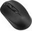 Riitek RM100+ wireless Mouse black, USB