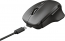 Trust Themo rechargeable wireless Mouse black, USB