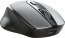 Trust Zaya rechargeable wireless Mouse grey/black, USB