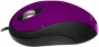 Accuratus image purple, USB