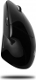 Adesso iMouse E10 wireless vertical mini Mouse black, USB