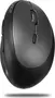 Inca IWM-279G vertical wireless Mouse grey, USB