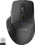 JLab JBuds wireless Mouse, black, USB/Bluetooth