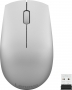 Lenovo 520 wireless Mouse Platinum, USB (GY50T83716)