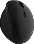 LogiLink wireless Ergonomic Mouse, USB