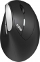 Rapoo EV250 Silent Ergonomic wireless Mouse black/silver, USB (13531)