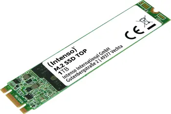 Intenso Top Performance SSD 1TB, M.2 2280 / B-M-Key / SATA 6Gb/s