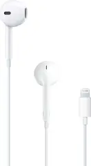 Apple EarPods with Lightning connector (2024)