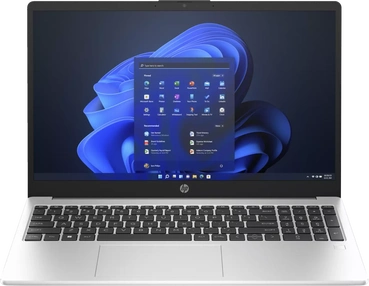 HP 250 G10, Turbo Silver, N100, 8GB RAM, 256GB SSD