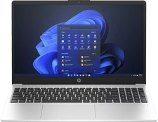 HP 250 G10, Turbo Silver, N100, 8GB RAM, 256GB SSD