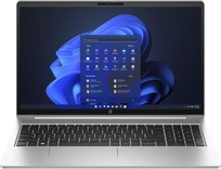 HP ProBook 450 G10, Pike Silver, Core i3-1315U, 16GB RAM, 256GB SSD