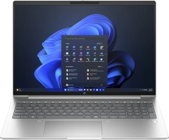 HP ProBook 460 G11, Pike Silver, Core Ultra 5 125U, 16GB RAM, 1TB SSD