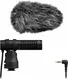 Canon DM-E100