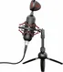 Trust Gaming GXT 244 Buzz USB Streaming microphone