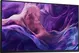 Dell P2425H WOST (ohne Standfuß), 23.81"