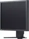 Eizo FlexScan S2133 schwarz, 21.3"
