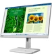 Lenovo L24m-40, 23.8"